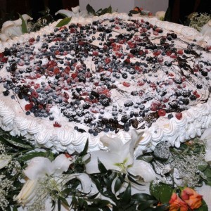 torta-spettacolo-006.jpg